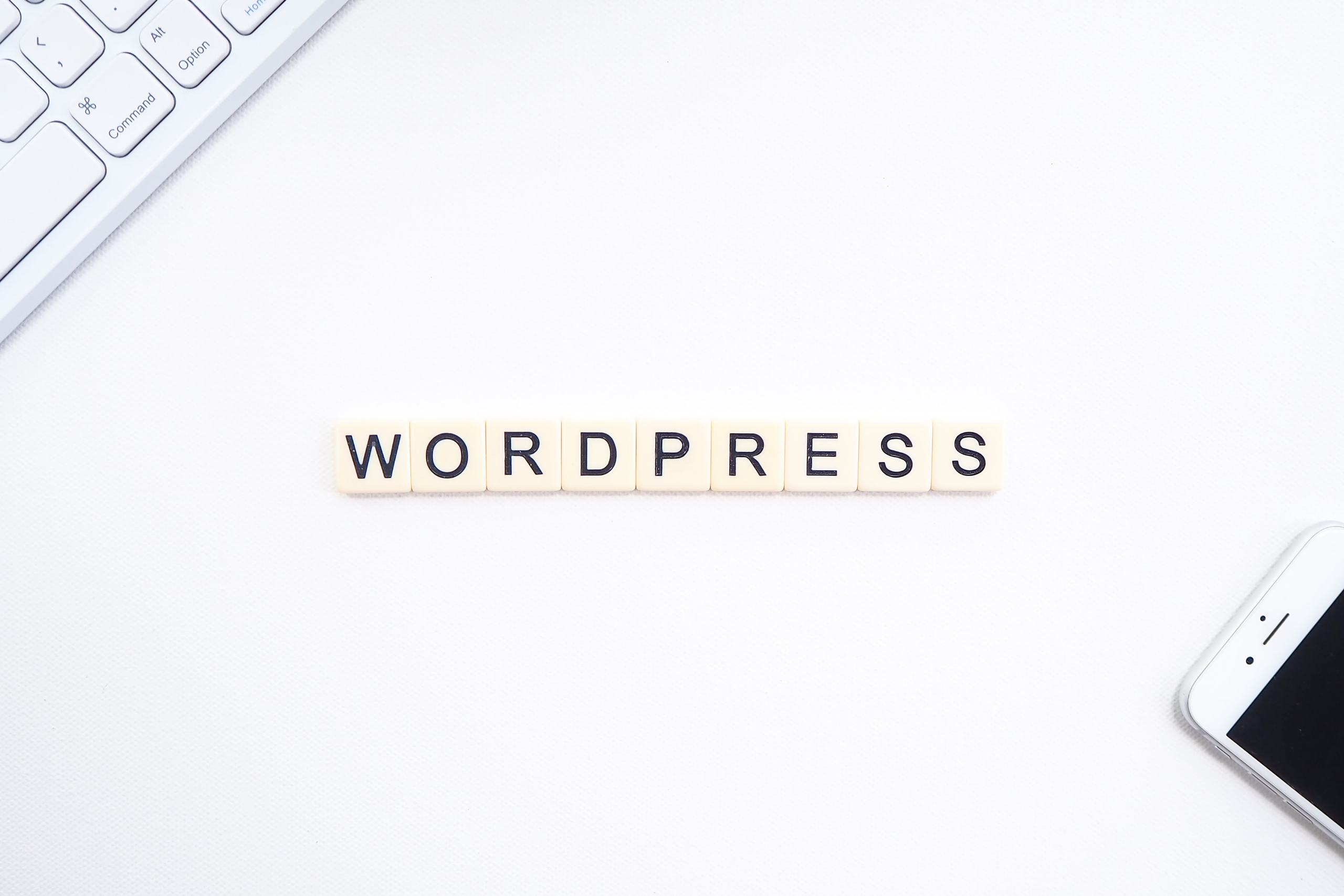 How to locate a WordPress Web Developer