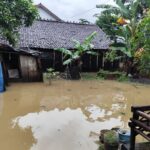 What is Flood Damage and How Common is it?