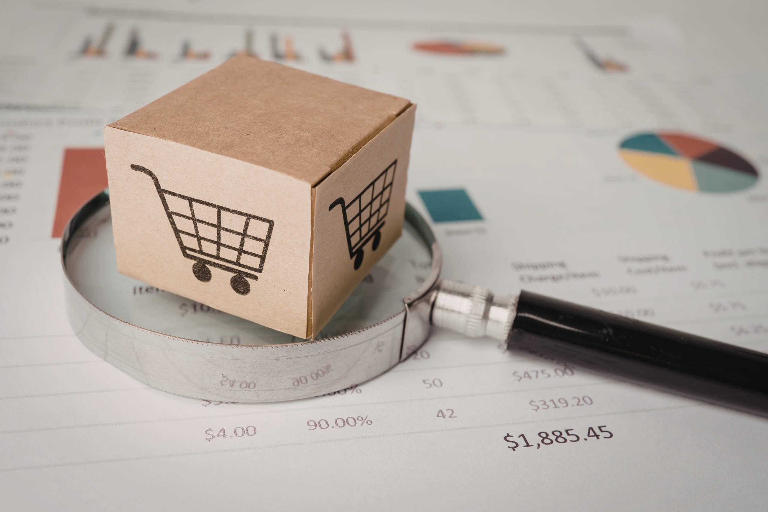 Using a Product Overview to market Your Company Online