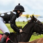 What Is A Horse Racing Tipster