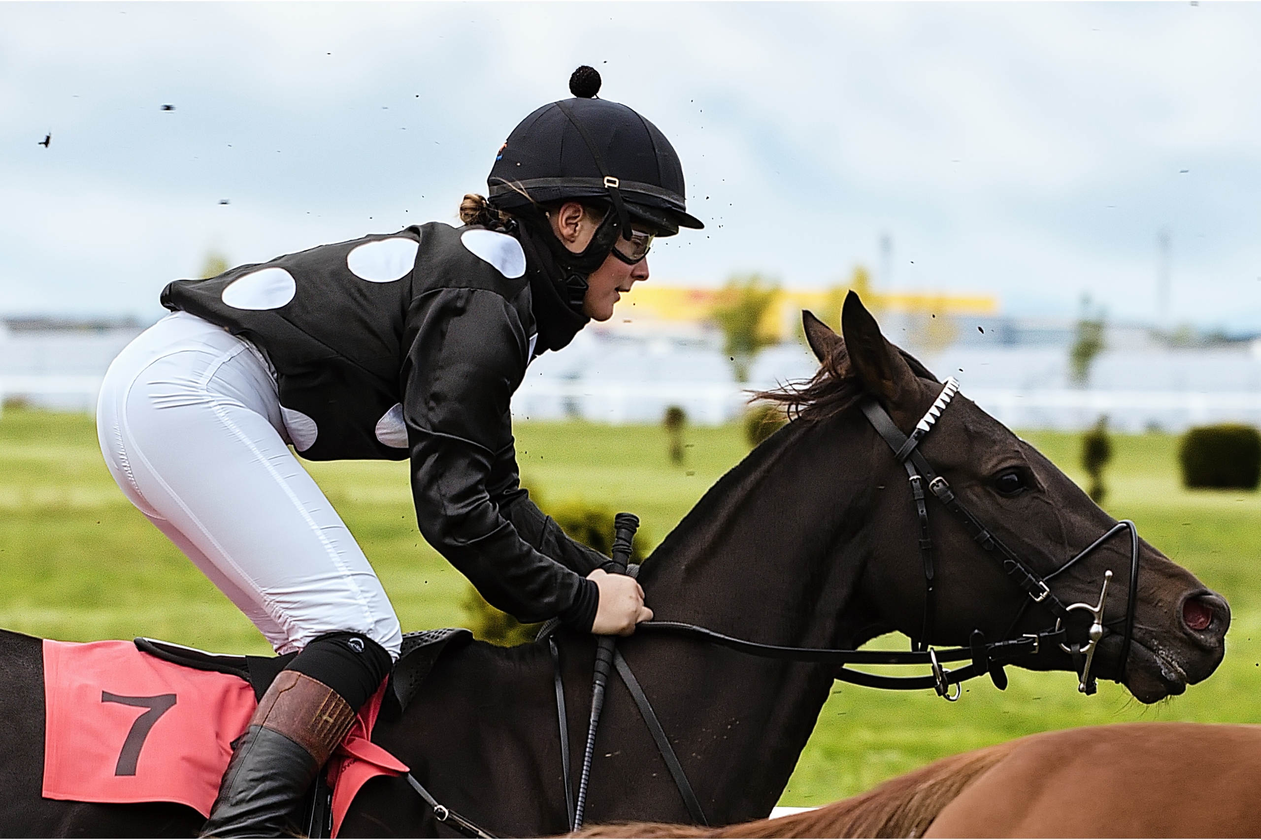 What Is A Horse Racing Tipster