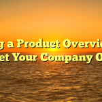 Using a Product Overview to market Your Company Online