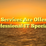 What Services Are Offered by a Professional IT Specialist?