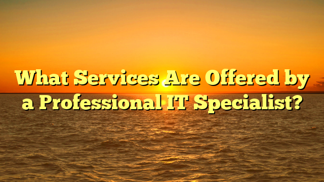 What Services Are Offered by a Professional IT Specialist?