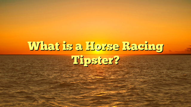 What is a Horse Racing Tipster?