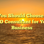 Why You Should Choose a Top SEO Consultant for Your Business