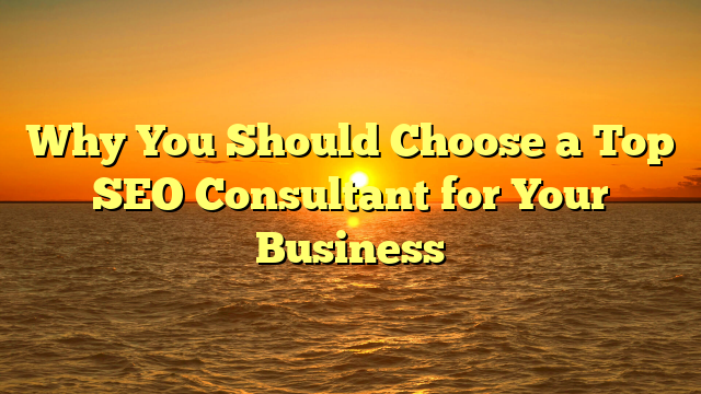 Why You Should Choose a Top SEO Consultant for Your Business
