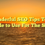 Wonderful SEO Tips To be able to Use For The Site