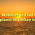 Best Websites to Find Hair Transplants in Turkey in 2022